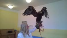 představení u nás ve škole