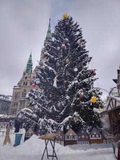Vánoční Liberec a Technické muzeum v Liberci